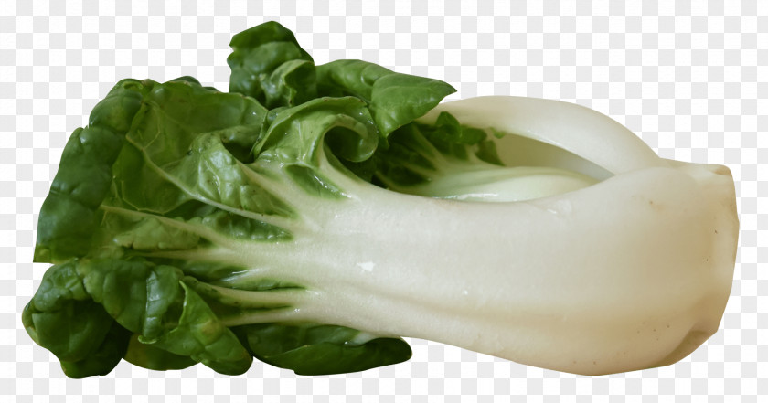 Vegetables Vegetable Bok Choy Image Resolution PNG