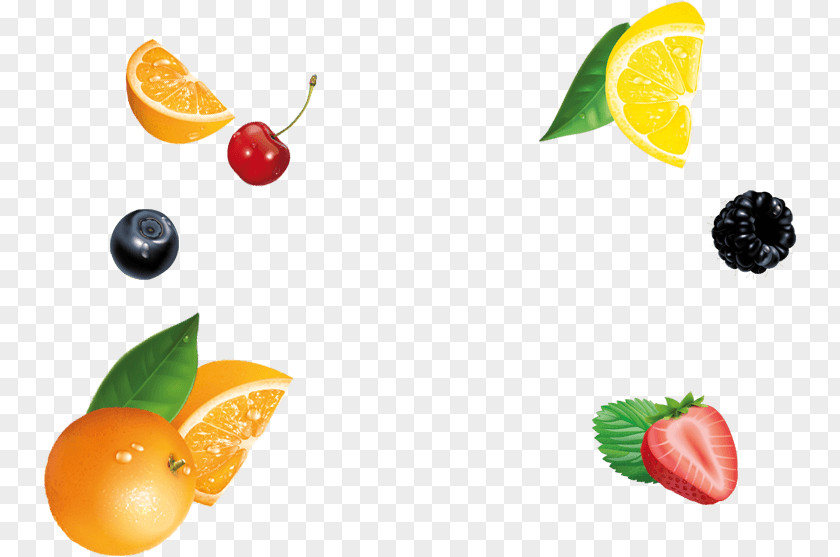 Wow Vegetarian Cuisine Food Garnish Lemon Fruit PNG