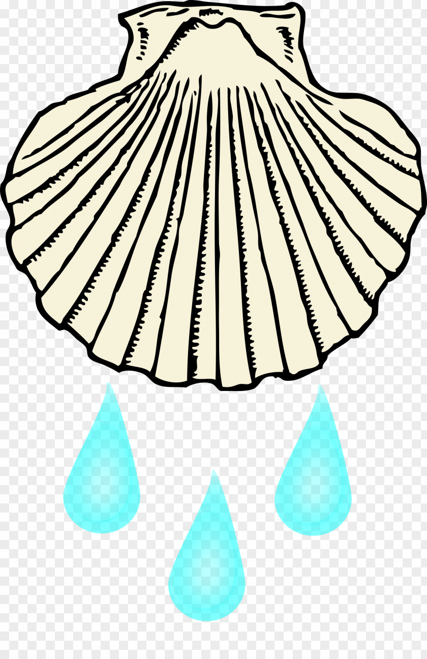 Baptism Clam Seashell Black And White Clip Art PNG