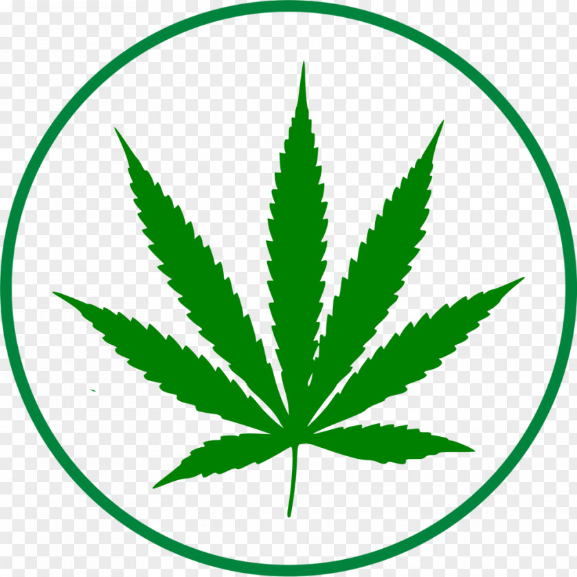 Cannabis Clip Art Openclipart Image Vector Graphics PNG