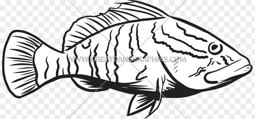 Fish Grouper Line Art Black Sea Bass Clip PNG