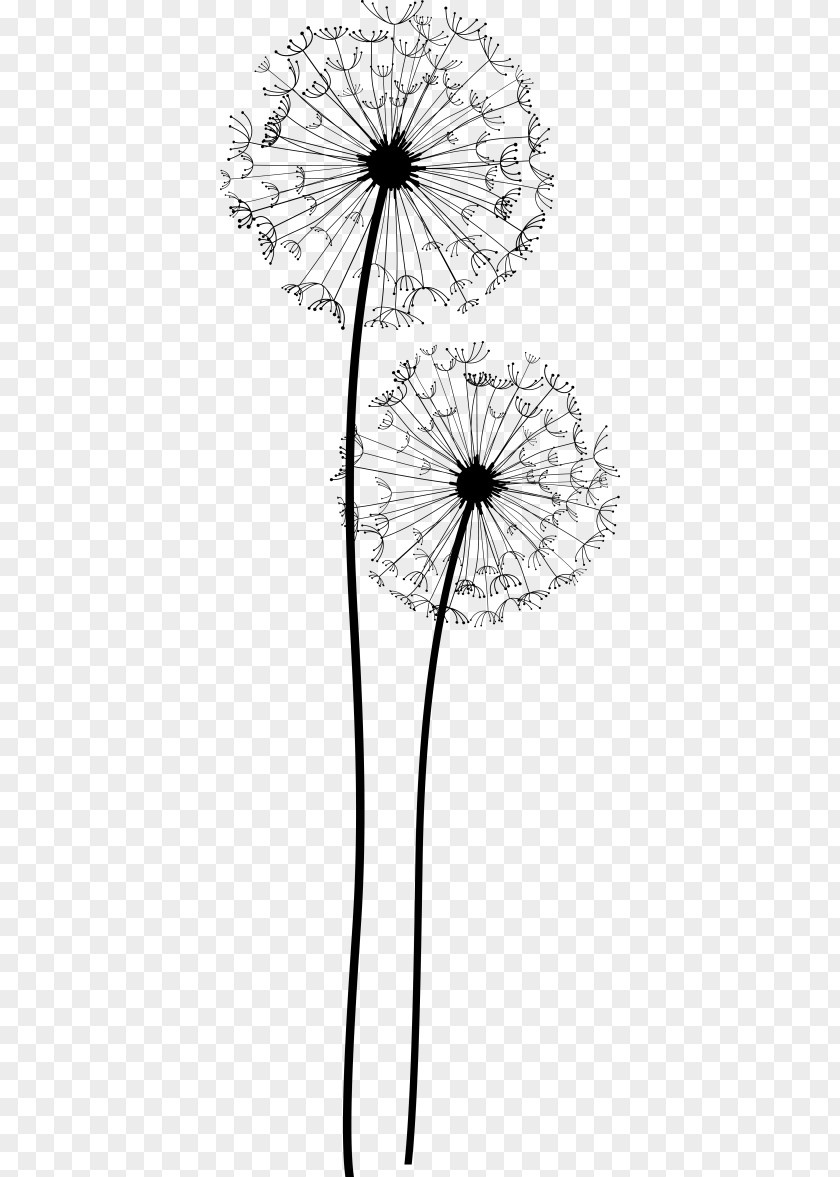 Flower Transparent Background Dandelion New Year Drawing Image Art PNG