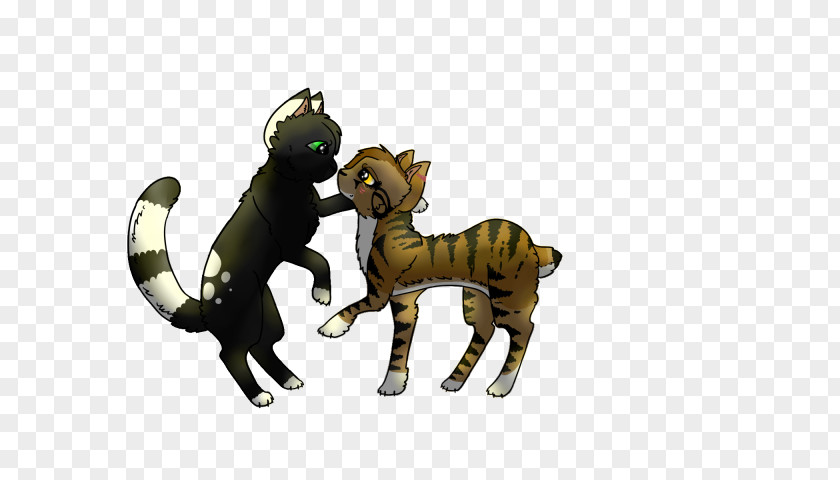 Examples Of Feeding Right And Wrong Cat Dog Mammal Canidae Pack Animal PNG