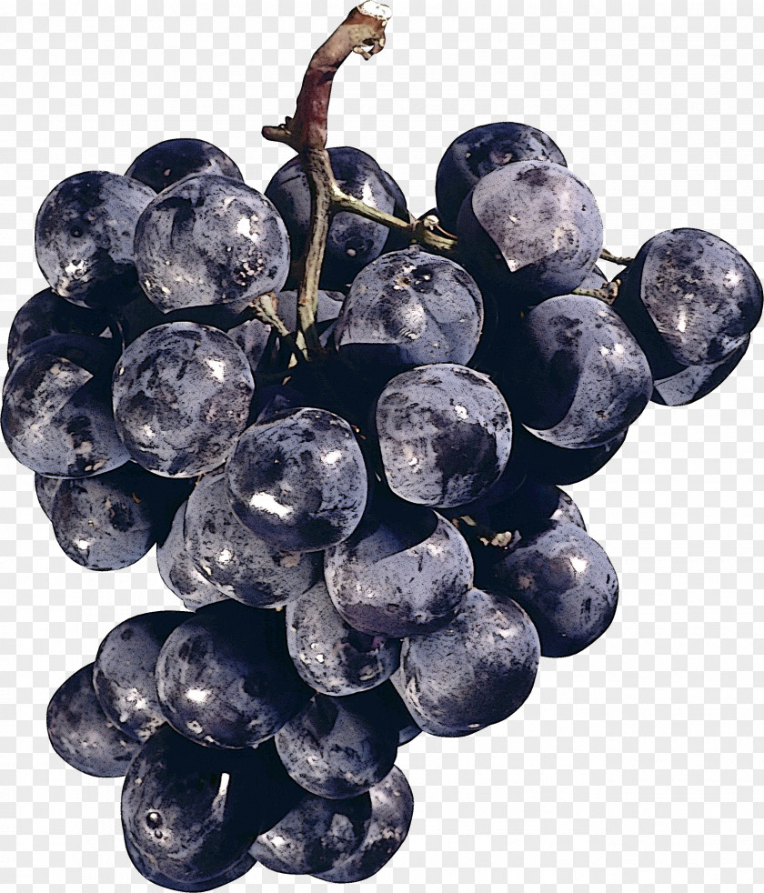 Grape Fruit Grapevine Family Superfood Plant PNG