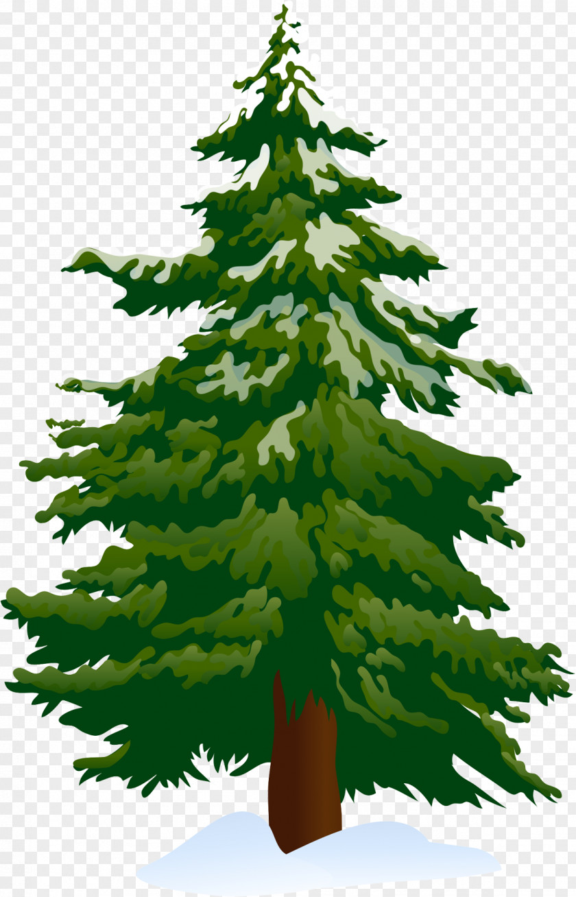 Tree Clip Art Lodgepole Pine Openclipart Image PNG