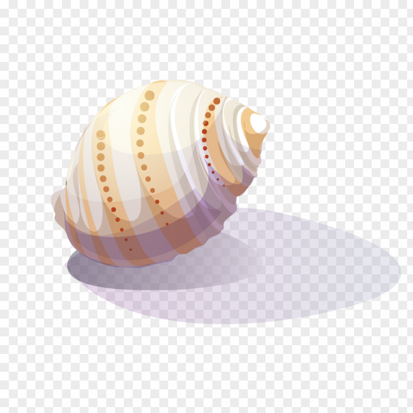 Vector White Yellow Dot Conch Viviparidae Sea Snail Clip Art PNG