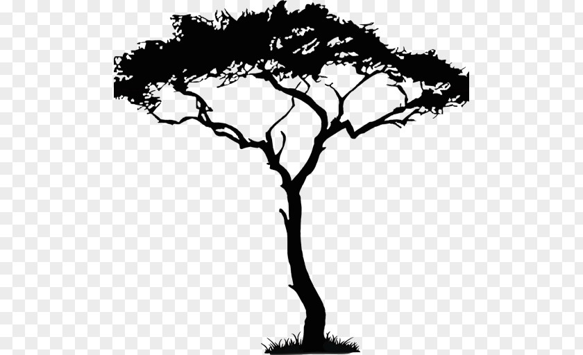 African Tree Drawing Art Clip PNG