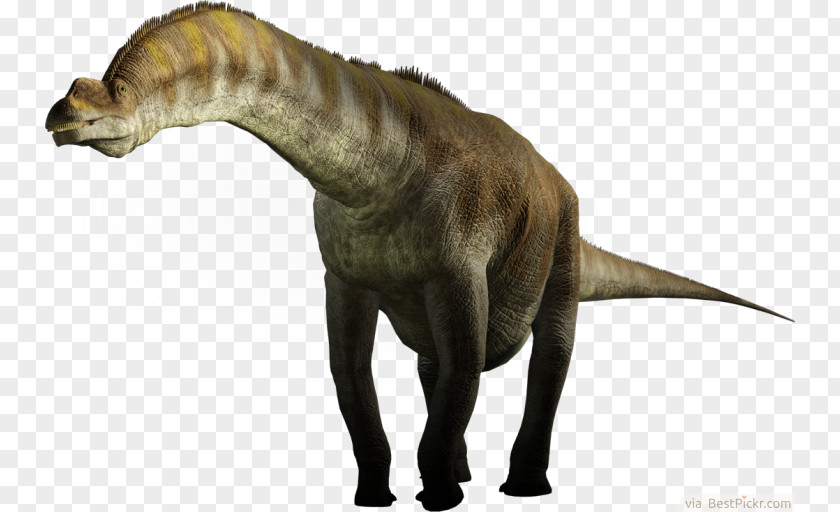 Animals Dinosaur Giraffatitan Brachiosaurus Argentinosaurus Sauroposeidon Seismosaurus PNG