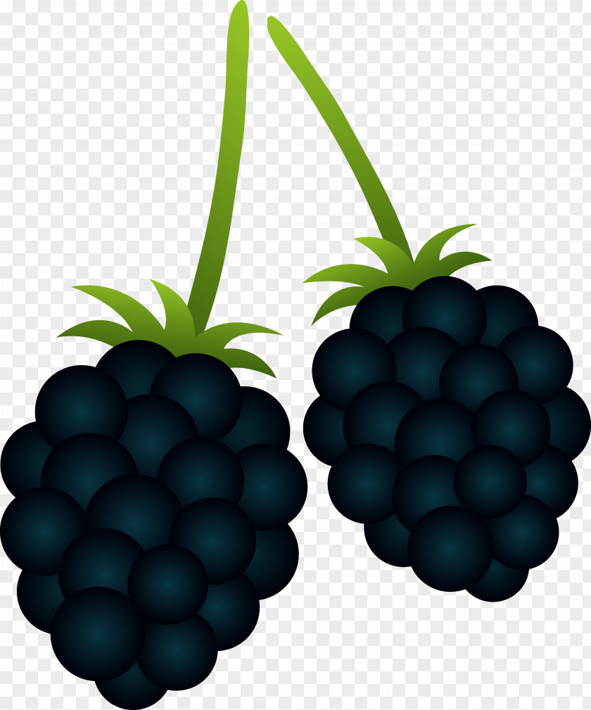 Blackberry Cliparts BlackBerry Priv Passport Clip Art PNG