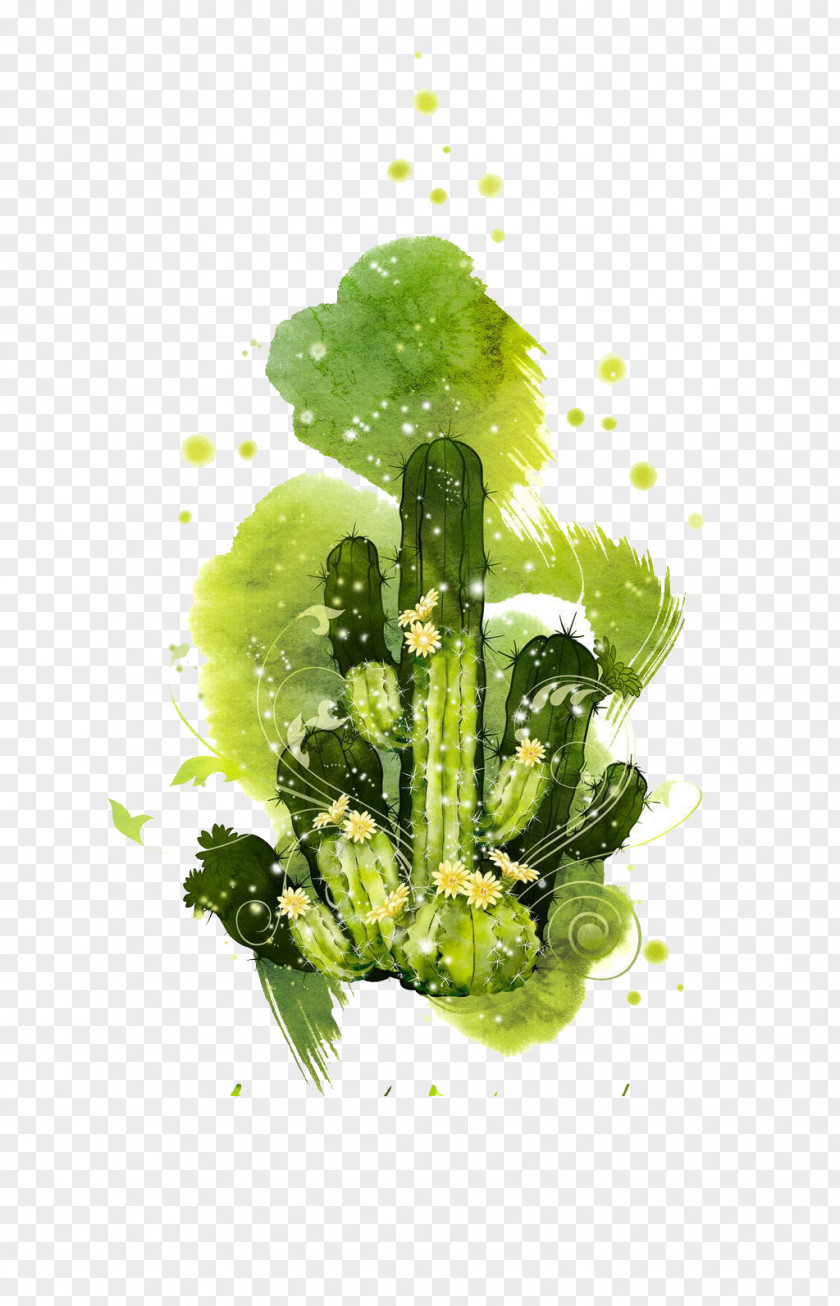 Cactus Cactaceae PNG