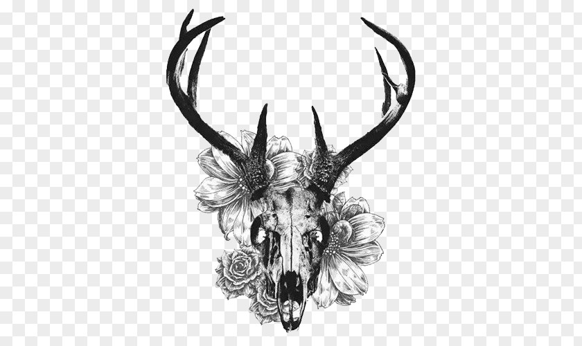 Creative Black And White Deer Skull White-tailed Tattoo Antler PNG