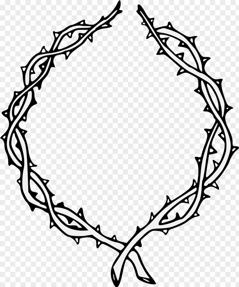 Crown Of Thorns Espinas Drawing Thorns, Spines, And Prickles Clip Art Illustration Image PNG