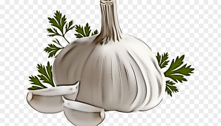 Garlic Mexican Cuisine Plant Tableware Sign PNG