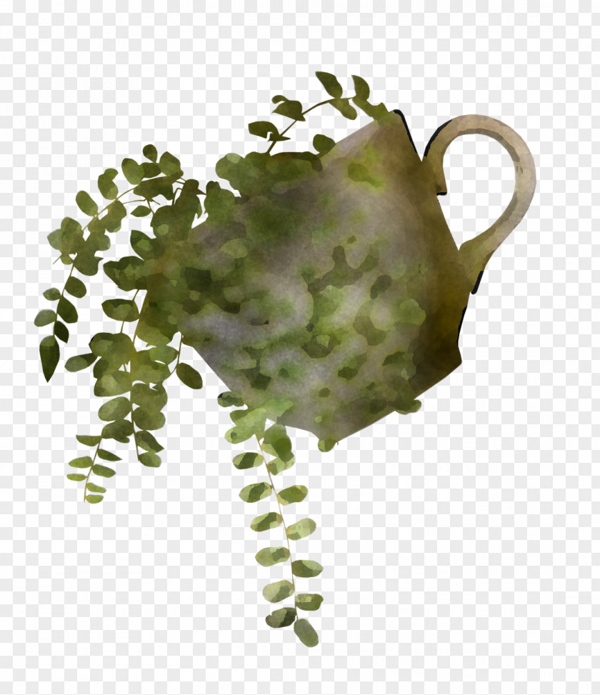 Green Leaf Plant Flower Serveware PNG