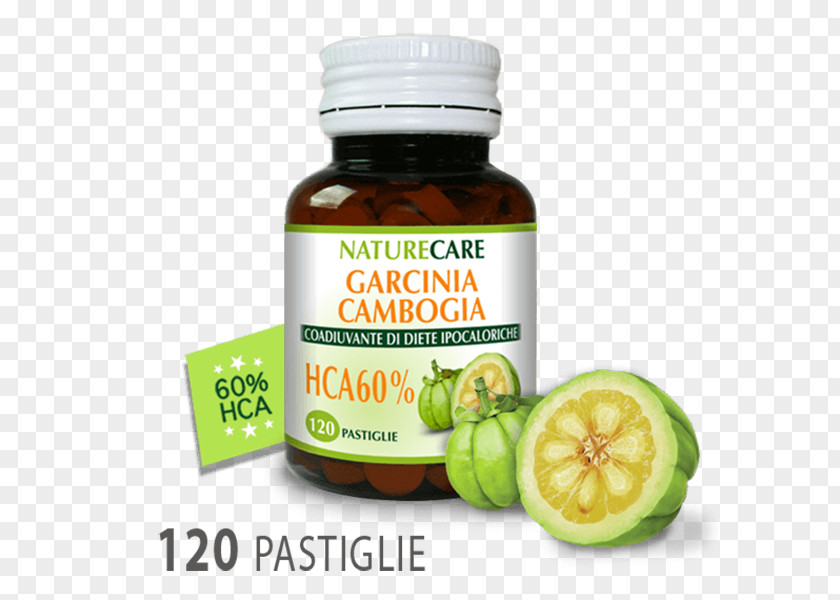 Health Garcinia Cambogia Dietary Supplement Weight Loss Anti-obesity Medication Hydroxycitric Acid PNG