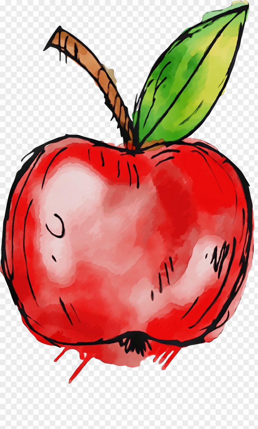 Insect Vegetable Fruit Apple PNG