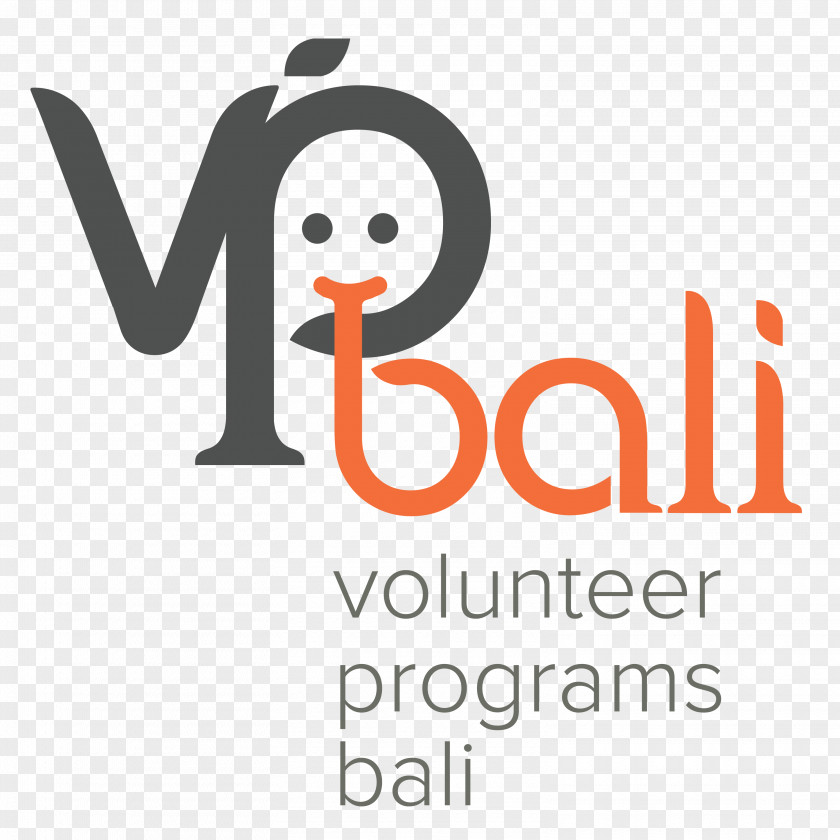 Volunteer VP Bali Scholarship Program Volunteering Organization Non-profit Organisation PNG