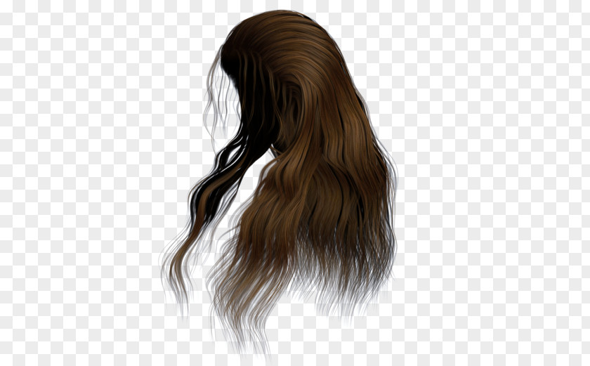 Hair Hairstyle Brown Wig PNG