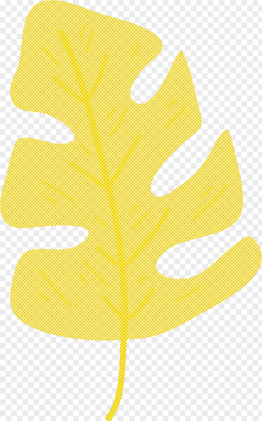 Leaf Yellow Font Meter Tree PNG