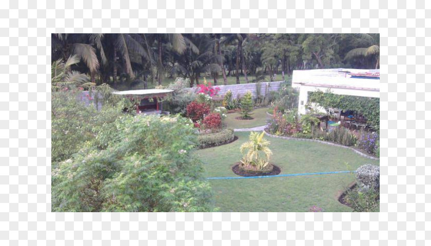 Pool Side Backyard Flora Botanical Garden Property PNG