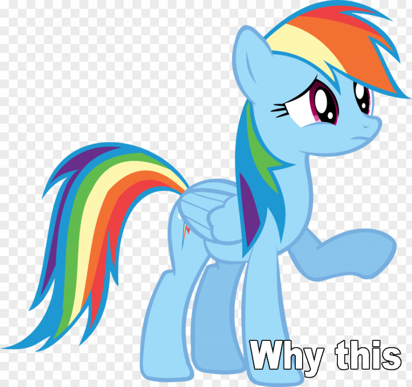 Rainbow Dash Applejack Pony Twilight Sparkle Pinkie Pie PNG