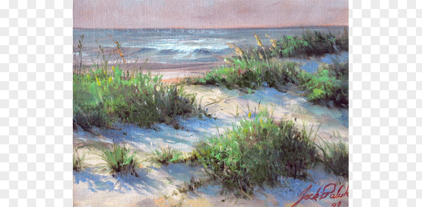 Seaside Scenery Salt Marsh American Beachgrass Watercolor Painting Art PNG