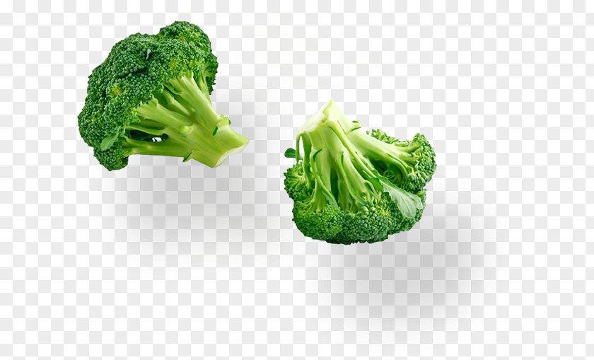 Broccoli Organic Food Soybean Sprout Cruciferous Vegetables PNG