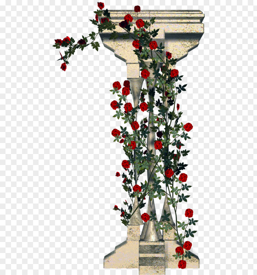 Column Garden Roses Rambler-Rose Floral Design PNG