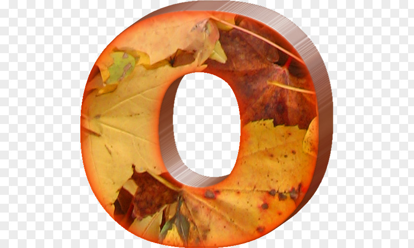 Lettering Letter Alphabet Autumn W PNG