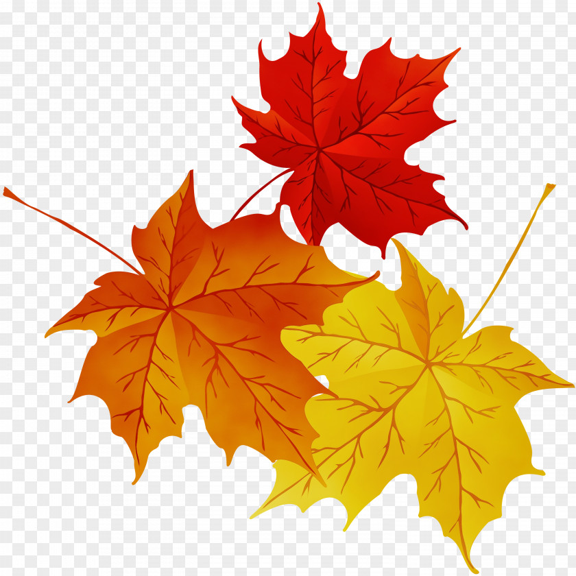 Twig Autumn Family Tree Background PNG