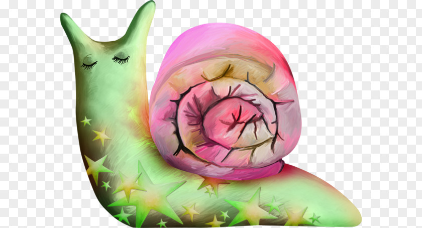 Watercolor Snail Escargot Orthogastropoda Clip Art PNG