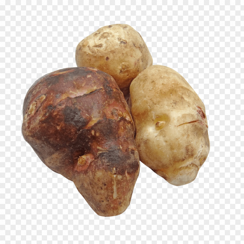 Yam Tuber Potato Root Vegetables Jerusalem Artichoke PNG