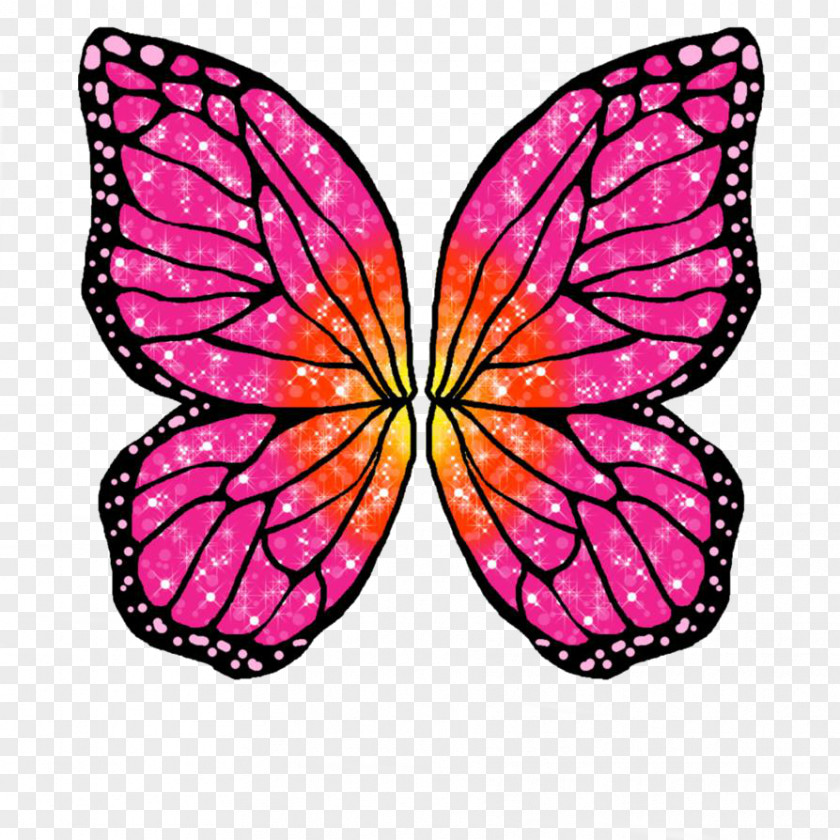 Butterfly Rayla Barbie Mariposa Drawing PNG