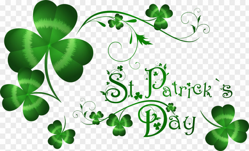 Clover Saint Patricks Day March 17 Irish People Party Diaspora PNG