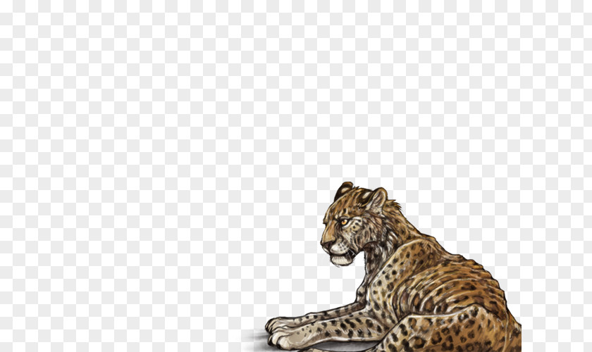 Leopard Cheetah Lion Jaguar Wildlife PNG