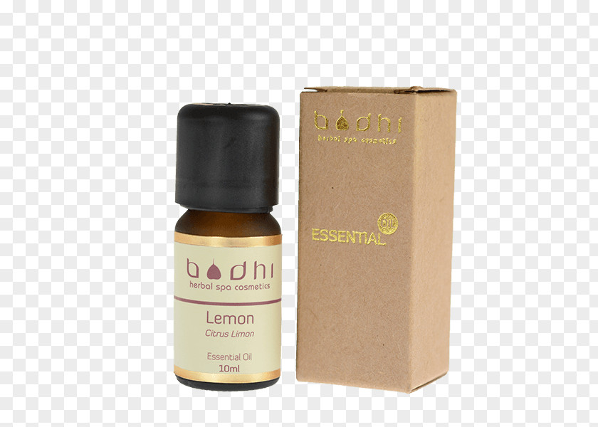 Oil English Lavender Essential Peppermint PNG