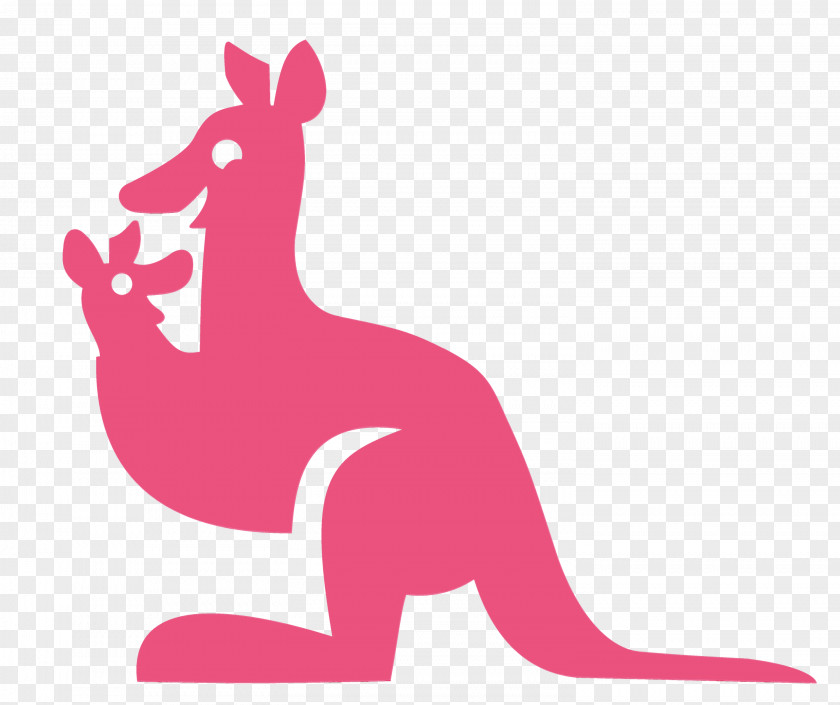 Tail Magenta Kangaroo Macropodidae Red Pink PNG