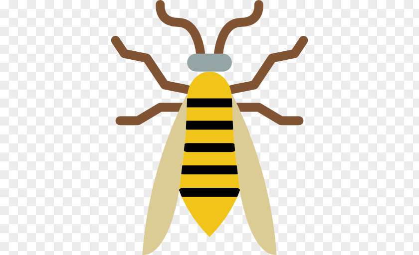 Wasp Insect Bee Clip Art PNG