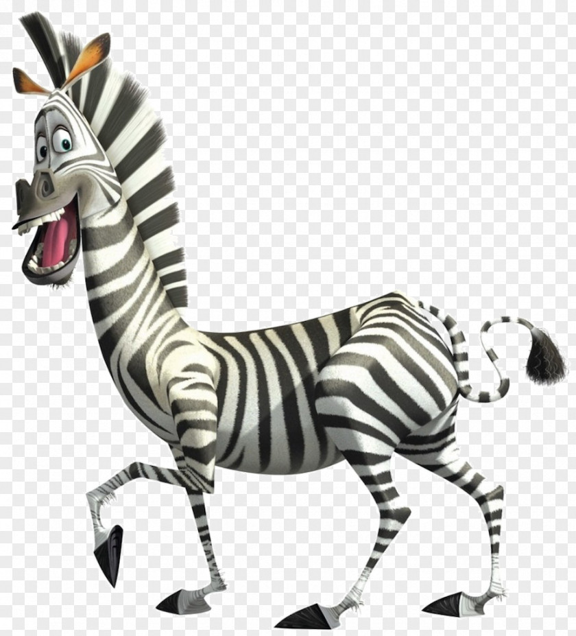 Zebra Alex Melman Madagascar Desktop Wallpaper PNG