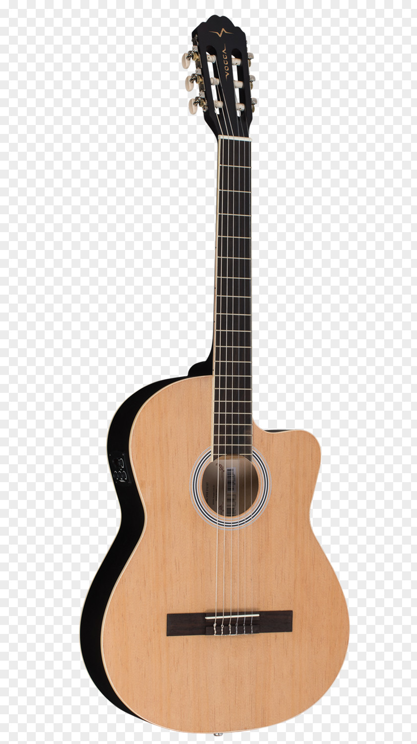 Acoustic Guitar Bass Tiple Cuatro Classical PNG