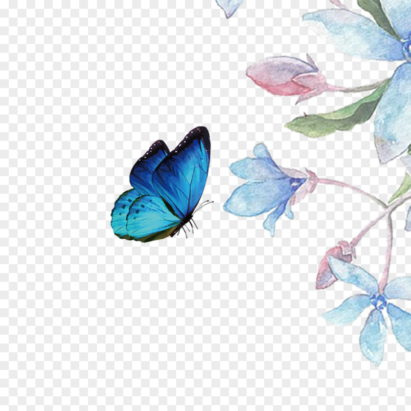 Beautiful Flowers Butterfly Download Computer File PNG