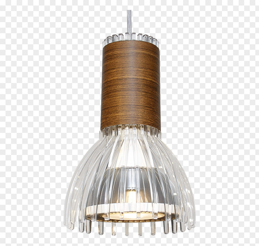 Design Ceiling Light Fixture PNG