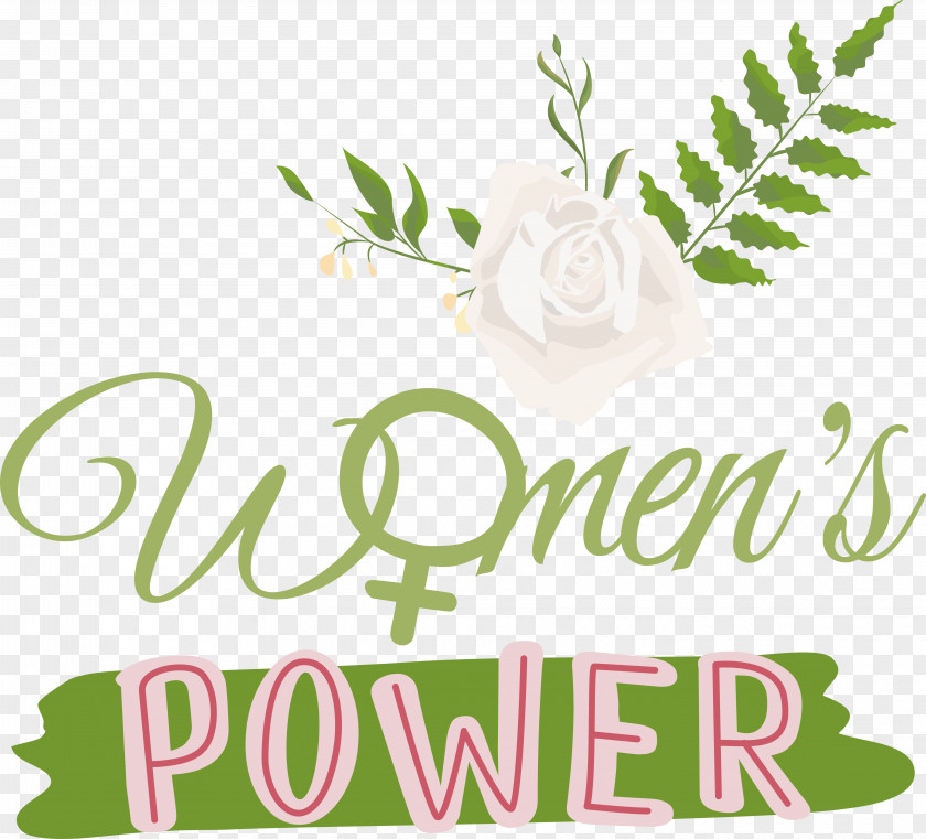 Floral Design PNG