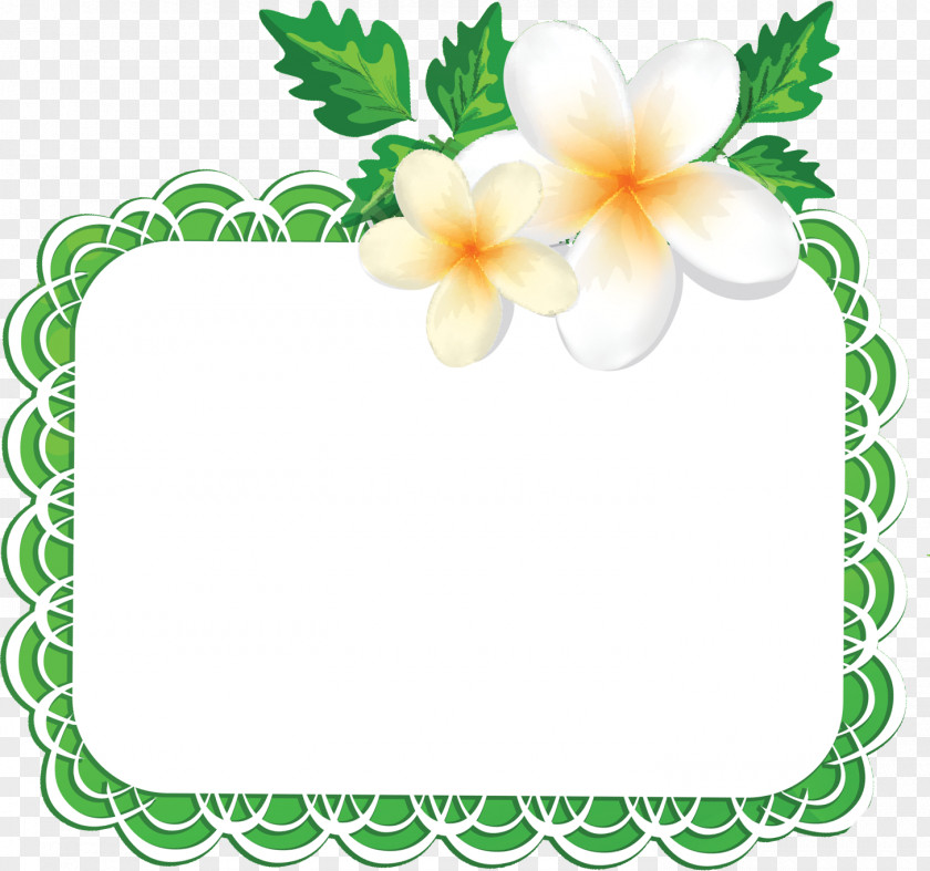 Flos Plumeriae Flower Frame Floral PNG