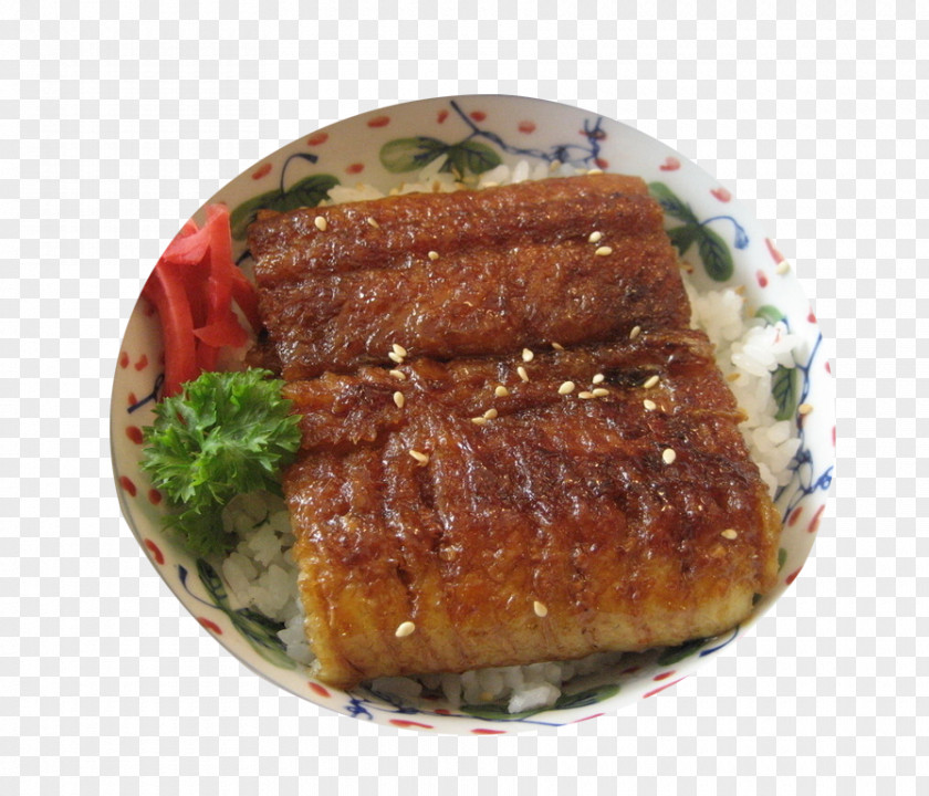 Roasted Eel Rice Kabayaki Unadon Unagi PNG