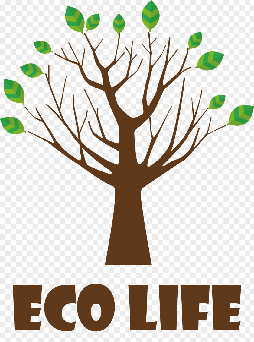 Eco Life Tree PNG