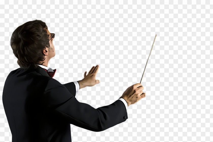 Gesture Musician Conductor PNG