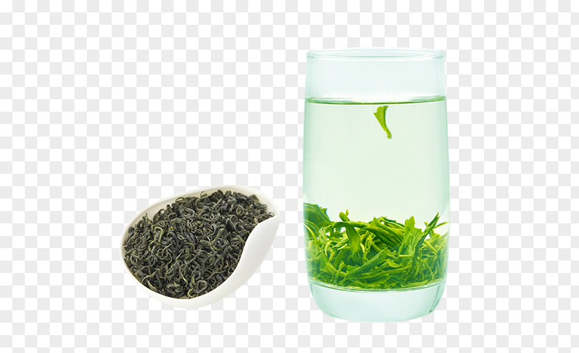 Biluochun Tea Green Gyokuro Coffee PNG