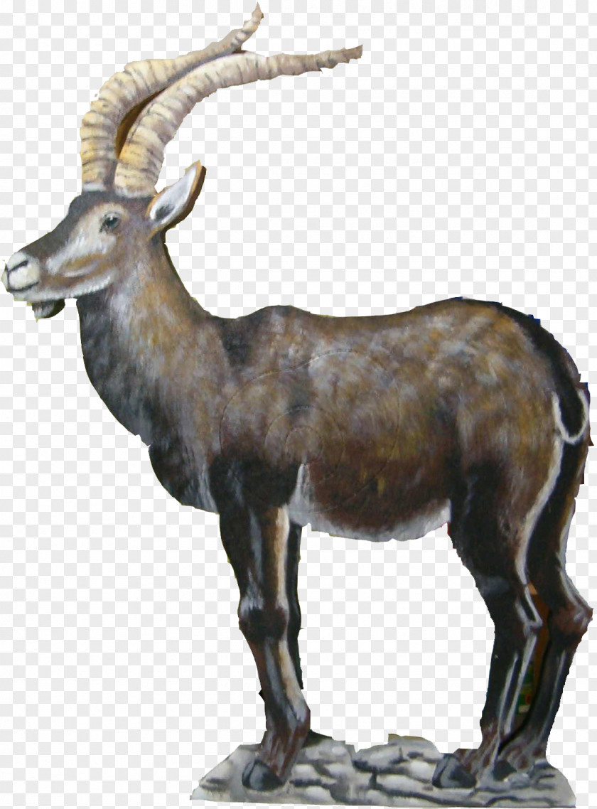 Deer Iberian Ibex Argali Alfacar Cabra PNG