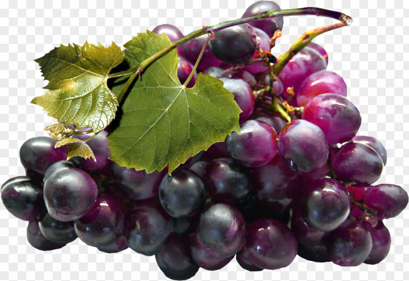 Grapes Kyoho Juice Grape Seed Extract PNG